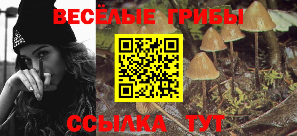 Галлюциногенные грибы Magic Shrooms Среднеуральск